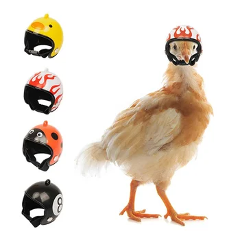 Креативни Играчки За домашни животни Пилешка Каска, Смешни шапки За Домашни любимци с Летенето Папагал, Средства за Защита От Слънце и дъжд